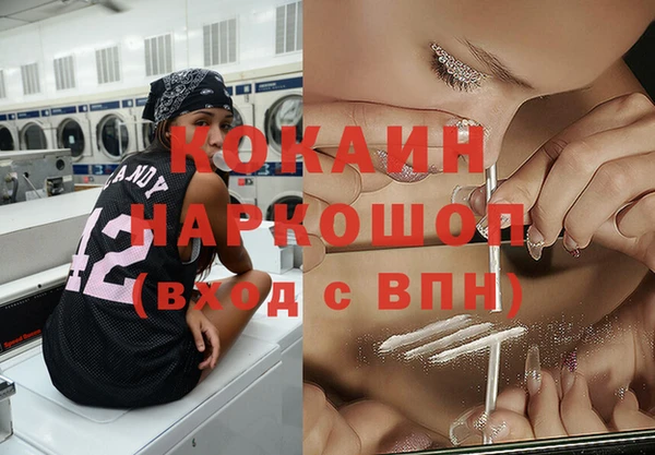 дживик Абинск