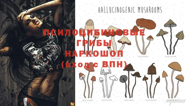 Альфа ПВП Алексеевка