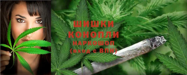дживик Абаза