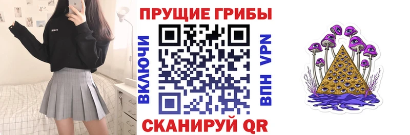закладки  Ковров  Псилоцибиновые грибы мухоморы 